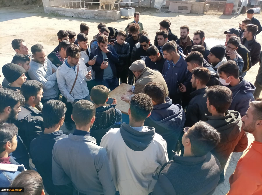 کارگاه تلقیح مصنوعی