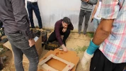 برداشت گوجه از گلخانه اموزشکده