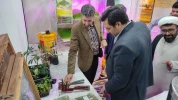 بازدید ریاست محترم سازمان جهاد کشاورزی از غرفه آموزشکده کشاورزی